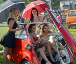 Starodobniki Pin up 2016_26