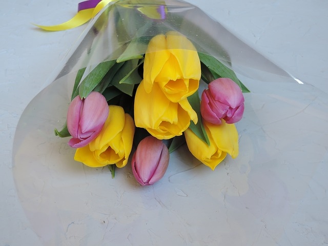 8_marec_dan_zena