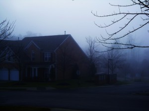 neighborhood-of-the-damned