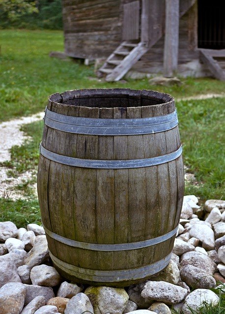 dezevnica