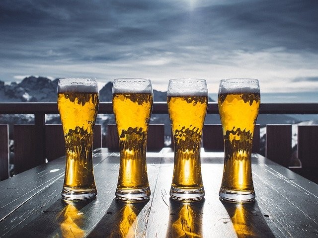 pivo