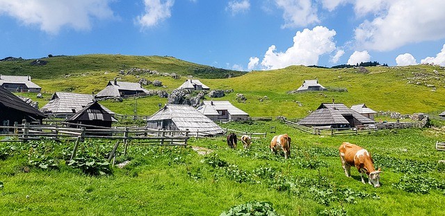 velika_planina