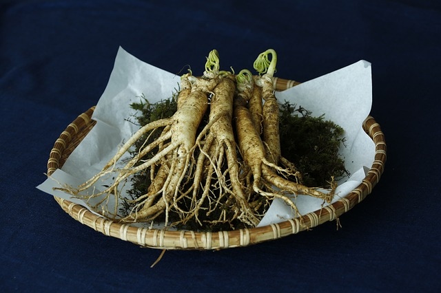 ginseng-zdravilno