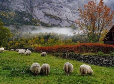 norveska