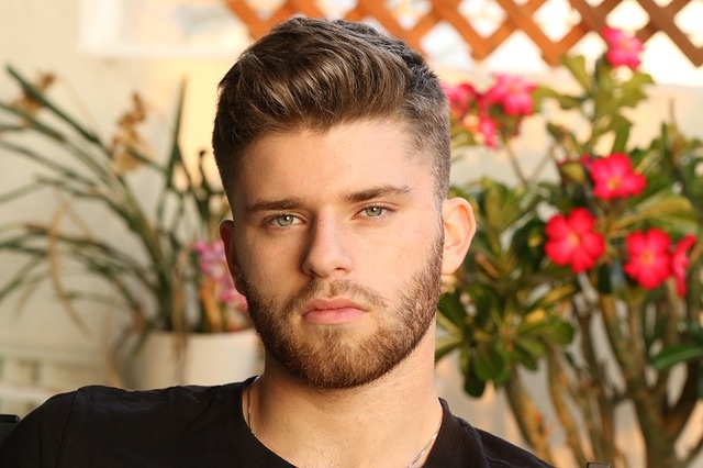 goran pfeiler frizer