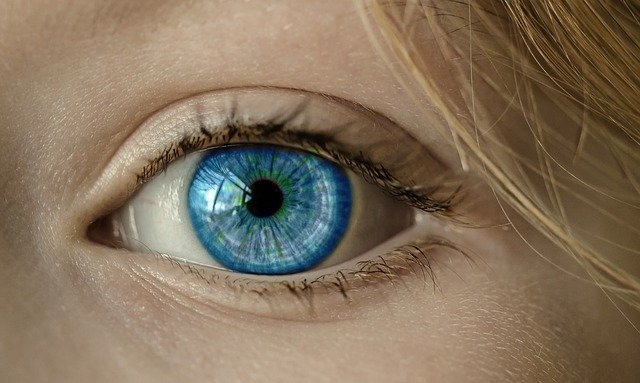 optika oko