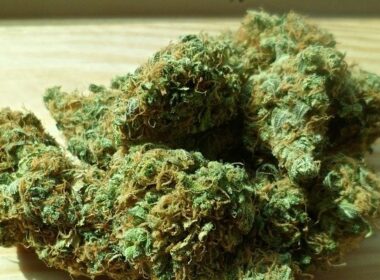 marihuana thc