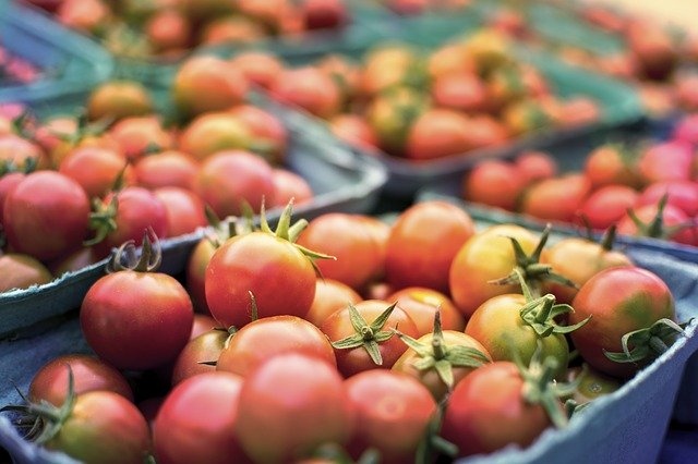 vegani veganska prehrana vegetarijanci vegetarijanska prehrana zelenjava