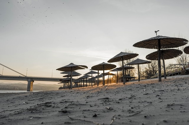 novi sad plaža