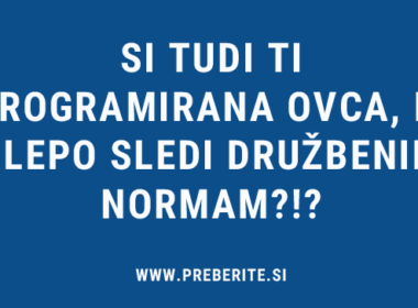 Programirana ovca