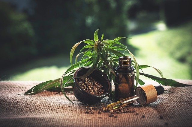 cbd kapljice rastlina