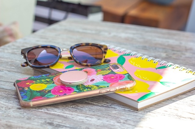 ovitki za telefon samsung galaxy s 10 ovitek